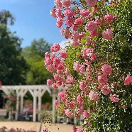 Appartement Ferienapartment Seelenglueck Mit Eingezaeuntem Garten