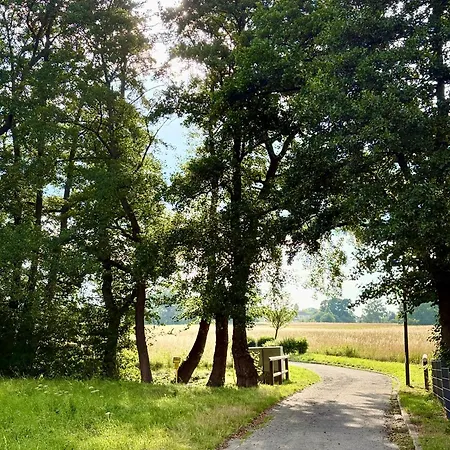 Ferienapartment Seelenglueck Mit Eingezaeuntem Garten Lägenhet Bad Harzburg