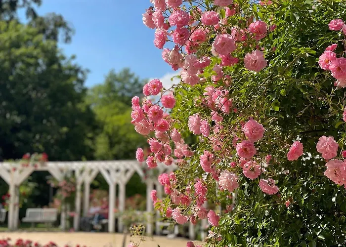 Lägenhet Ferienapartment Seelenglueck Mit Eingezaeuntem Garten