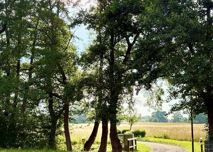 Ferienapartment Seelenglueck Mit Eingezaeuntem Garten Lägenhet Bad Harzburg